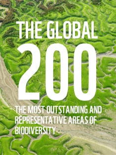 The Global 200