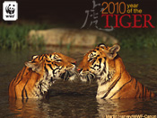 2010 Year of the Tiger E-card